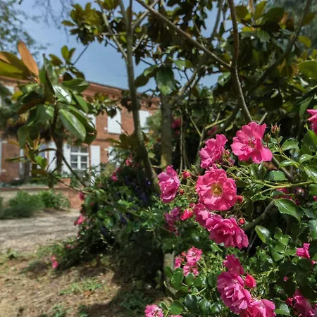 Le Parc Des Moutous * Aurin