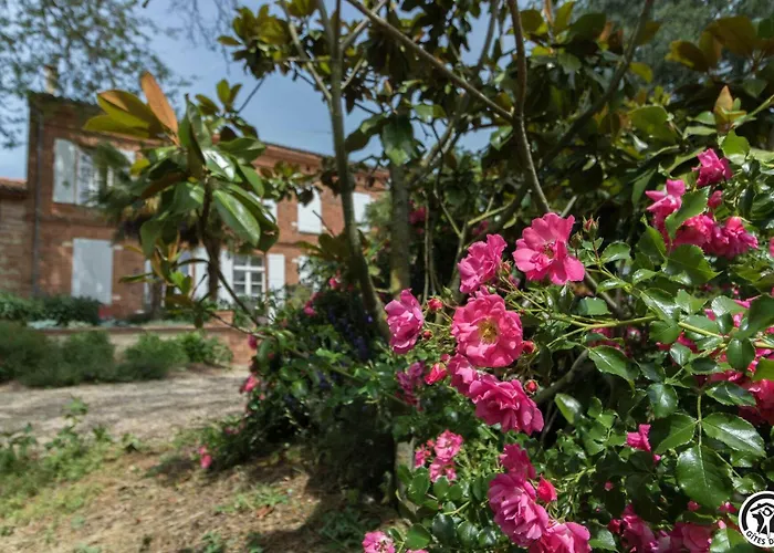 Le Parc Des Moutous * Aurin