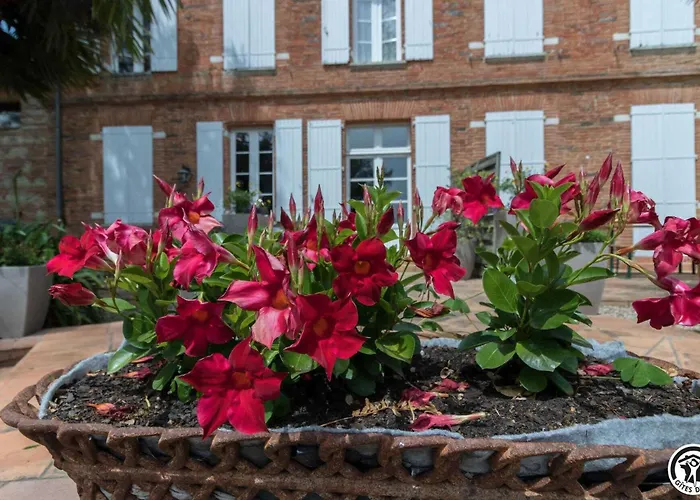 Vakantiehuis Le Parc Des Moutous