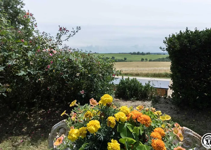 Le Parc Des Moutous Vakantiehuis Aurin